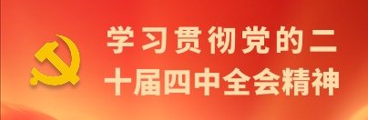 学习贯彻党的二十届四中全会精神