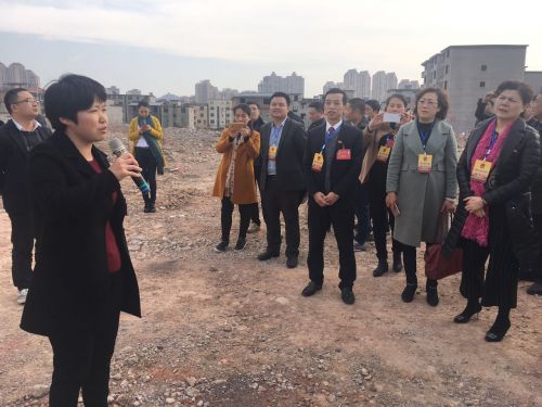 代表视察重点项目