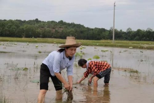 微信图片_20170526082221