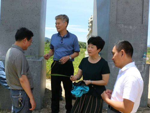 微信图片_20170721092420