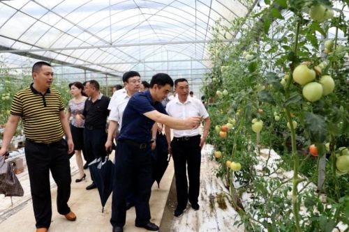 微信图片_20180531224816