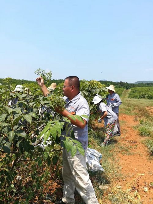 微信图片_20181219091944