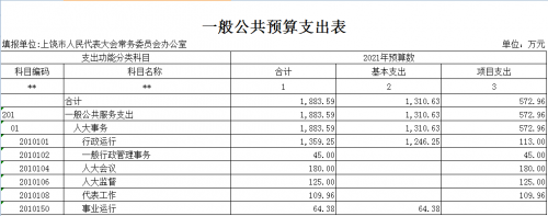表5.一般公共预算支出表
