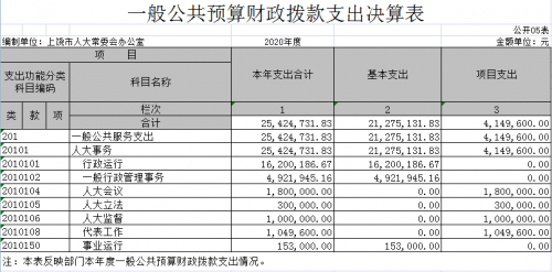 一般公共预算财政拨款支出决算表