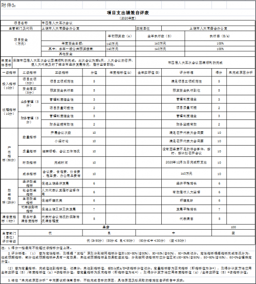 项目支出绩效自评表