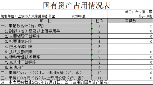 国有资产占用情况表