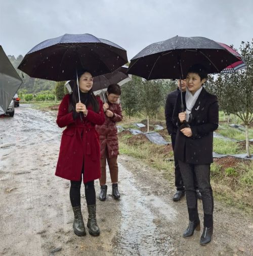 微信图片_20220331190824