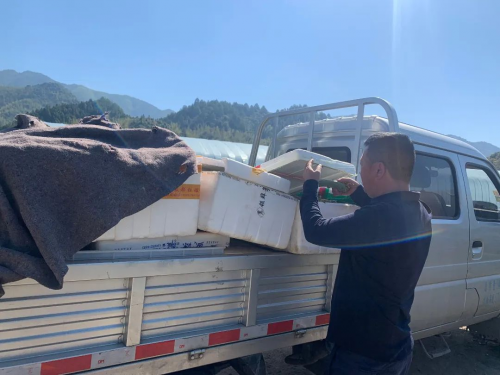 微信图片_20221117145017