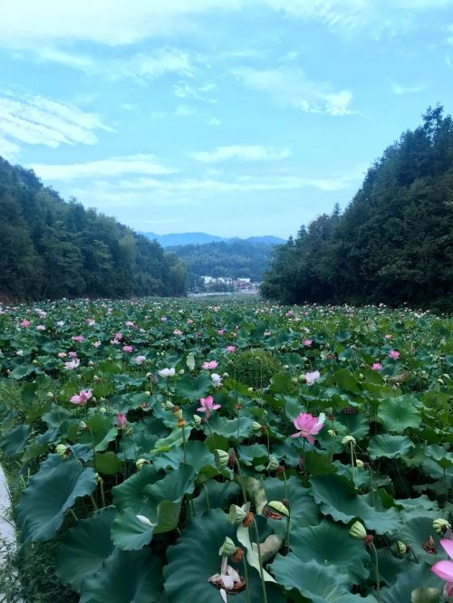 微信图片_20221121110539