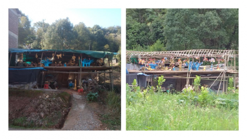 微信图片_20221220094953