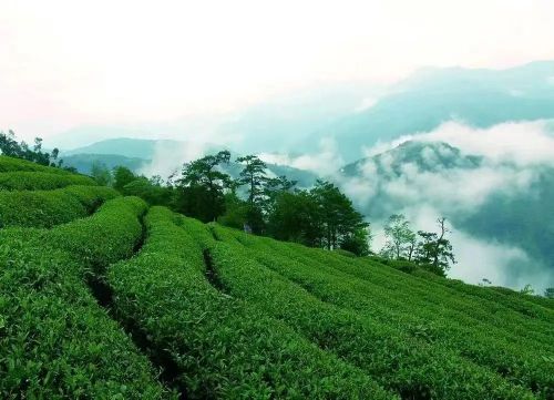 微信图片_20230106104957