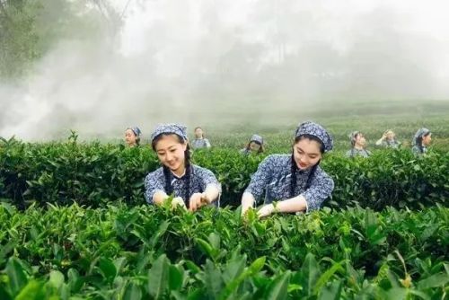 微信图片_20230106105000