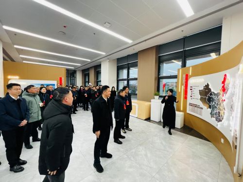 2.20百名代表视察1