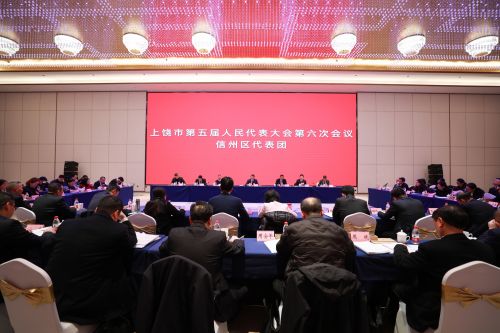 代表团审议1_副本